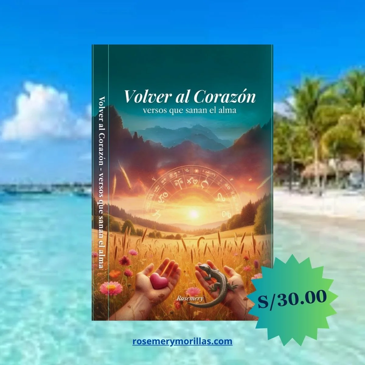 Presentación Rosemery Morillas